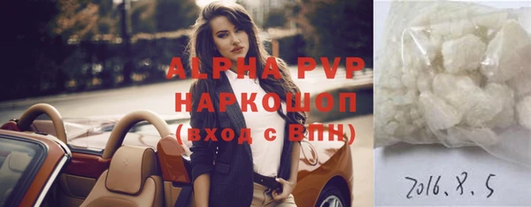 хмурый Верея