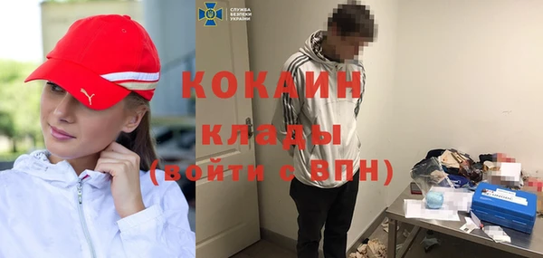 хмурый Верея