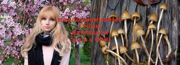 соль ск Верхний Тагил