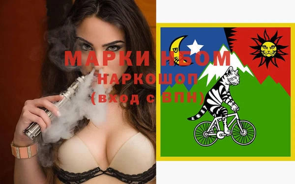 хмурый Верея