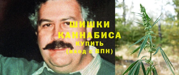 хмурый Верея